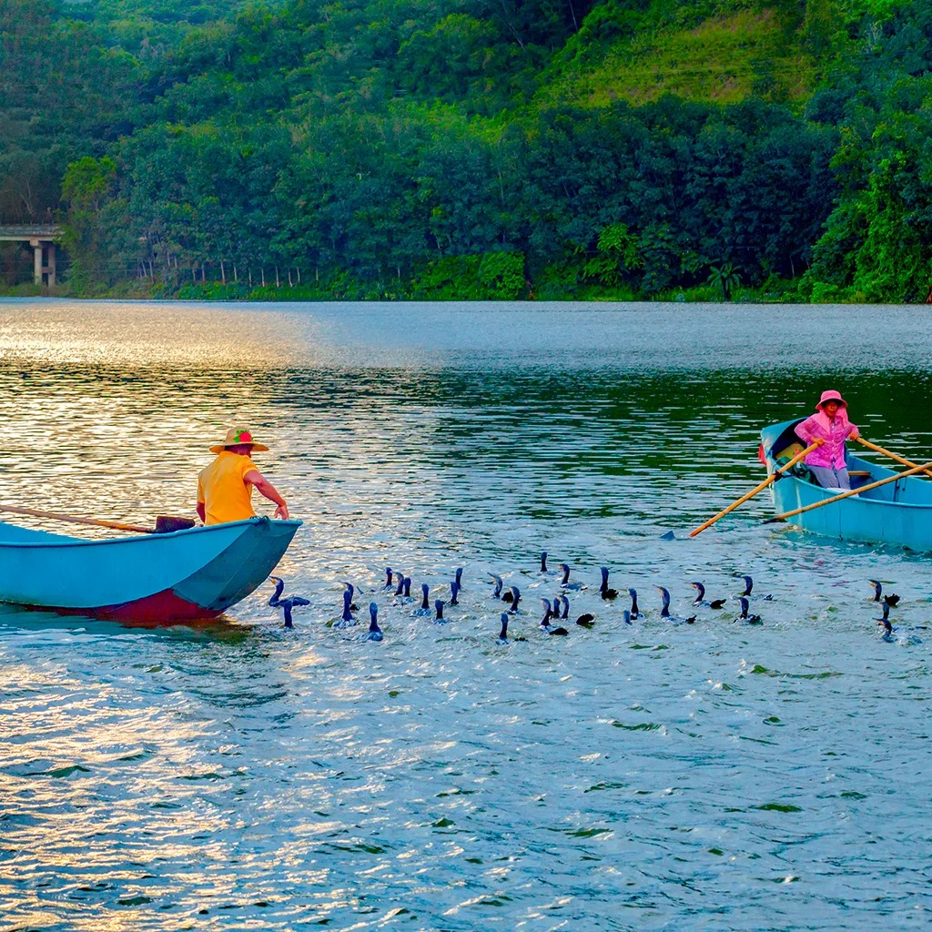 Manfeilong Bonfire Party