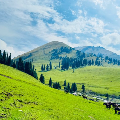 Nalati Sky Grassland