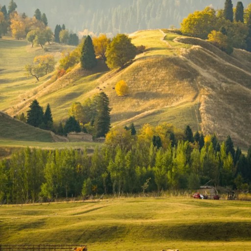 Autumn of Naraty Grassland