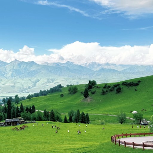 Summer of Naraty Grassland