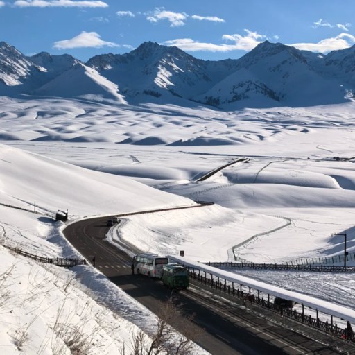 Winter of Naraty Grassland