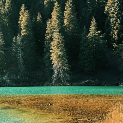 Plants of Tianshan Grand Cayon