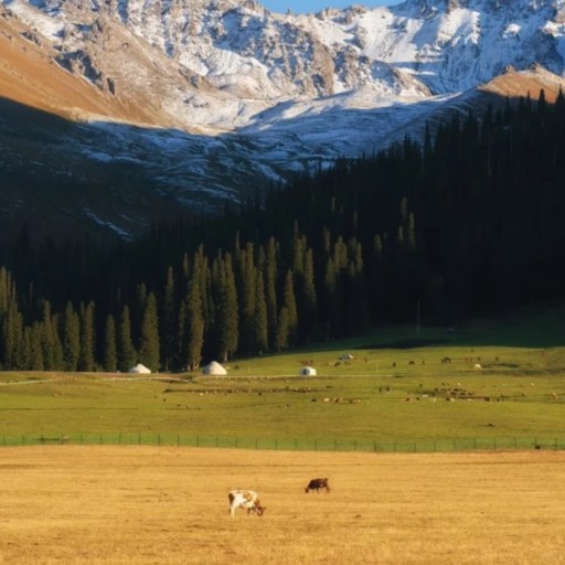 Autumn of Nalati Grassland