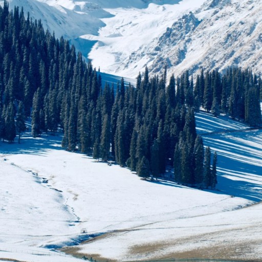 Winter of Nalati Grassland