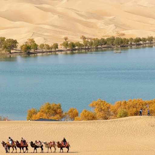 The Taklamakan Desert