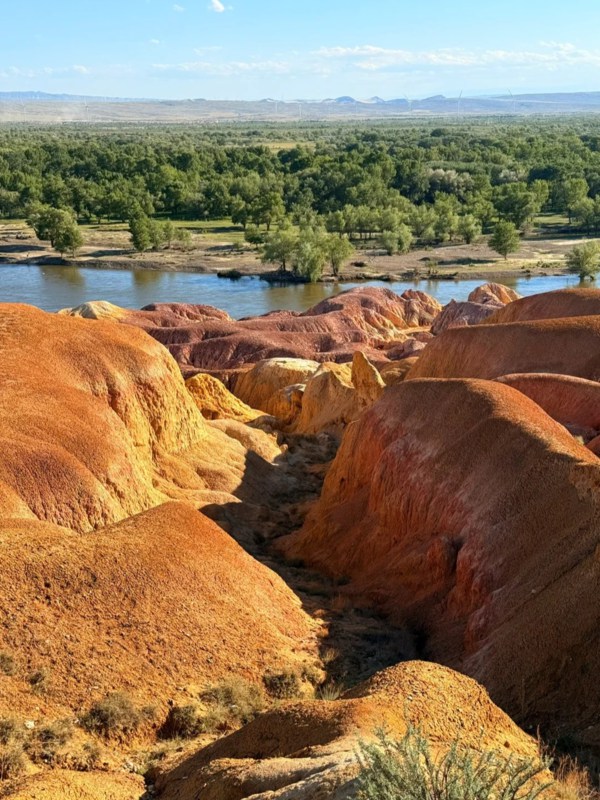 Summer of Five Colored Beach