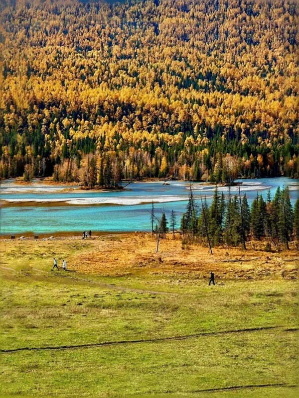 Autumn of Xinjiang