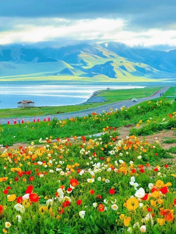 Summer of Xinjiang