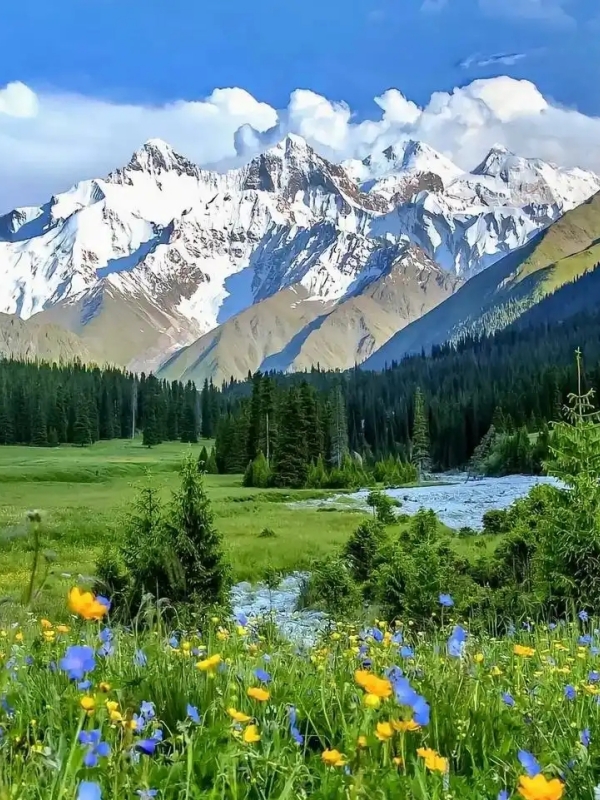 Spring of Xinjiang
