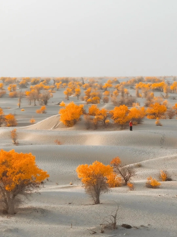 Taklamakan Desert