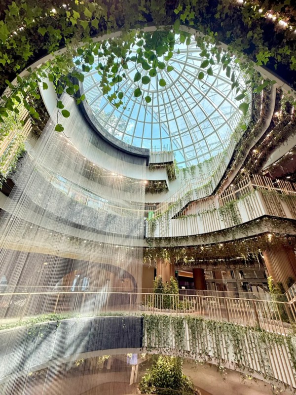 The Secret Garden in the Sky