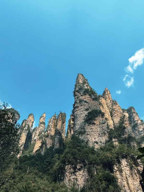 Spring of Zhangjiajie