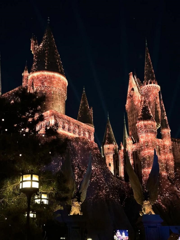 The Magic of Christmas at Hogwarts Castle