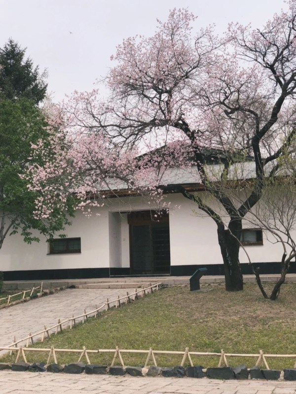 Harbin-Niigata Friendship Garden