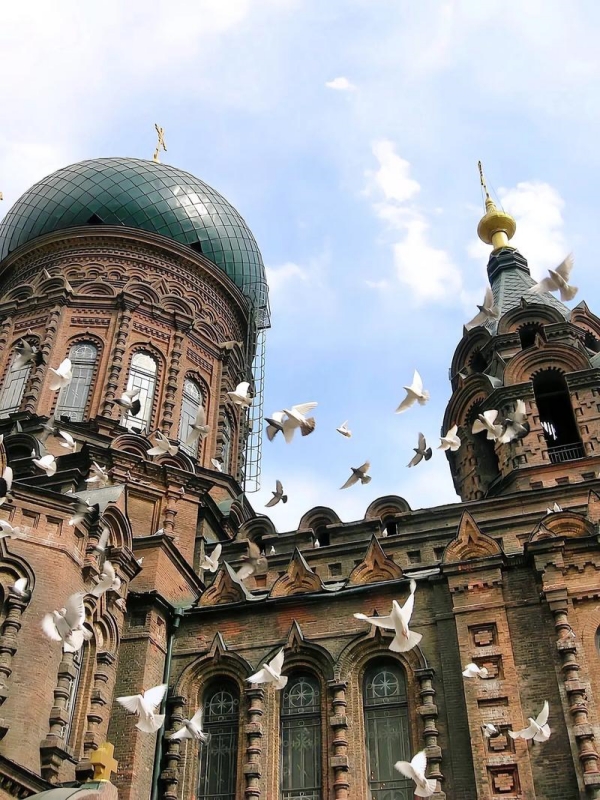 Pigeons Fluttering Outside the Church