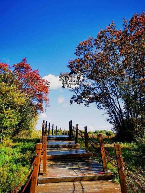 Heixiazi Island Wetland Park