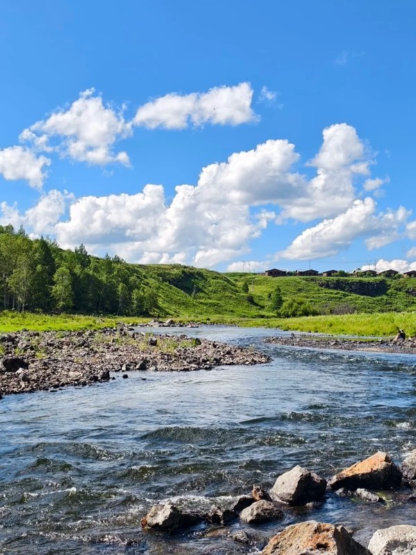 Summer of Daxinganling