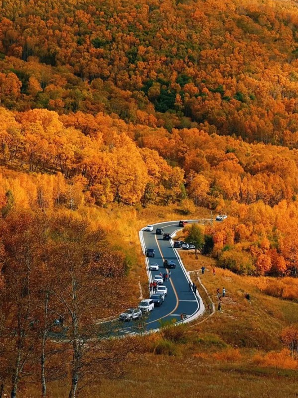 Street of Daxinganling