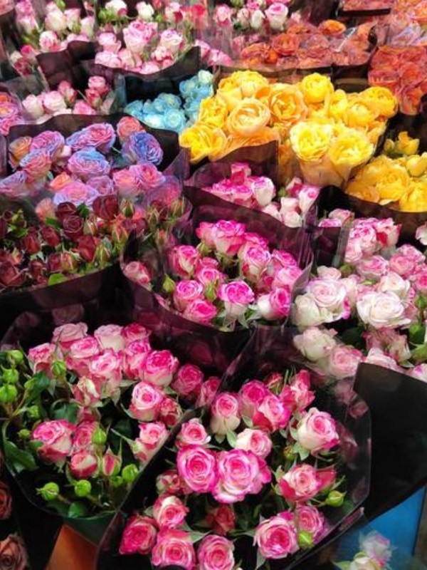 Dounan Flower Market2