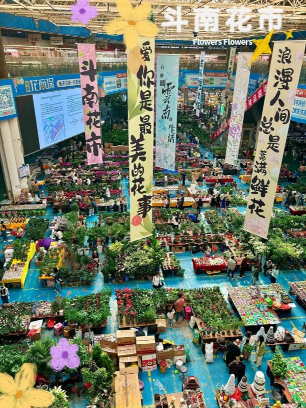 Dounan Flower Market