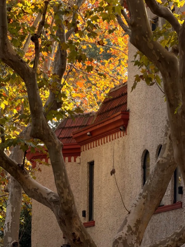 Autumn of Wukang Road