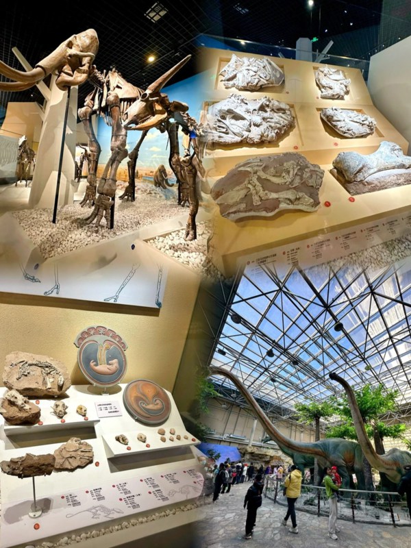 Beijing Museum of Natural History