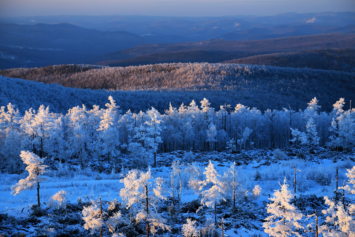 Northeast China Travel 2025