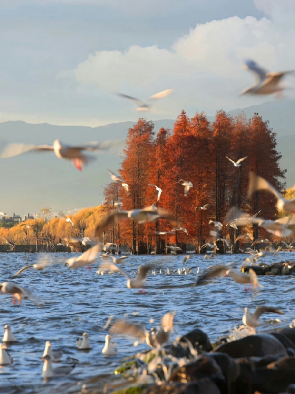 Erhai Lake in Autumn