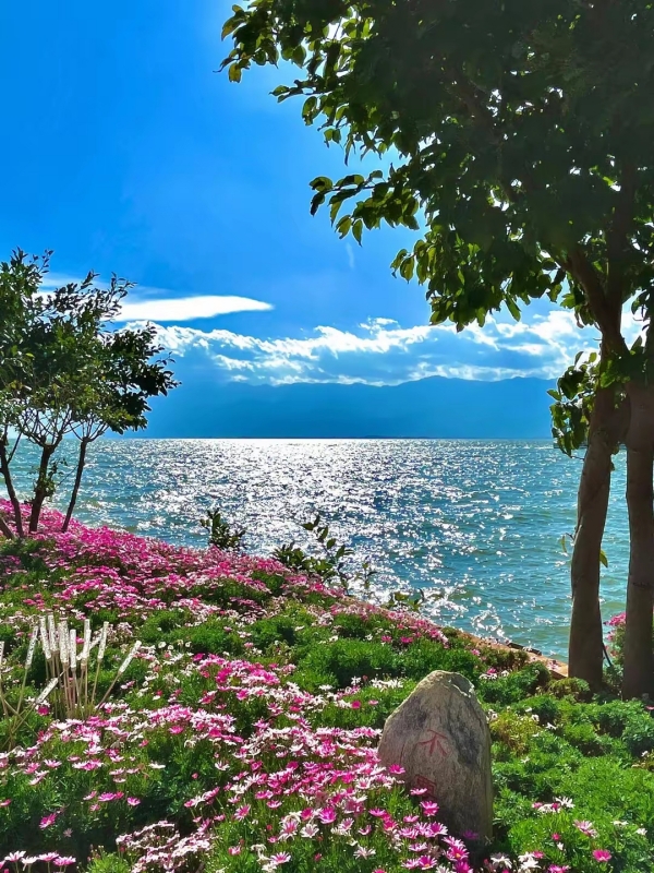 Erhai Lake in Spring