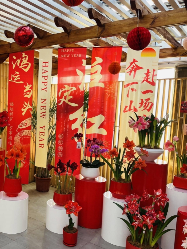 Traditional Flower Markets