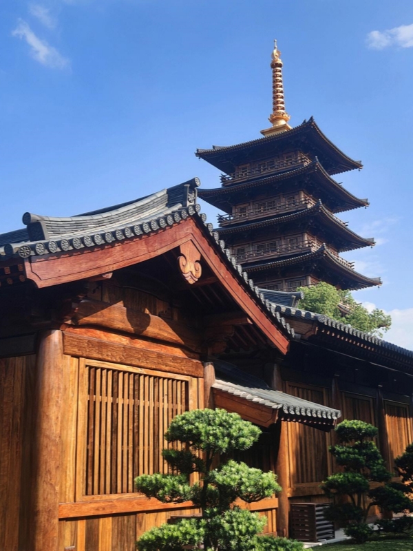 Wood Construction Building