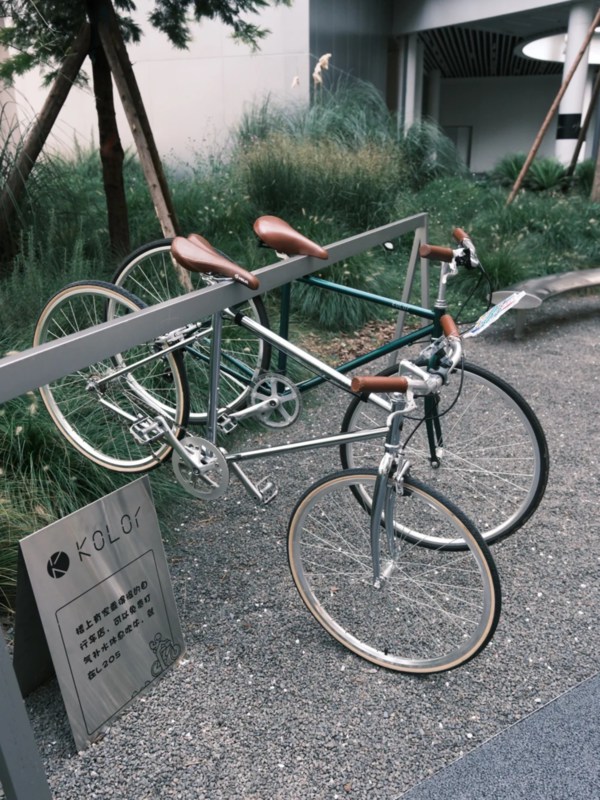 Bike-Through Shopping Complex