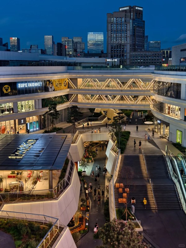 The Aerial Corridor's Cyberpunk Geometry