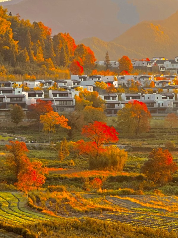 Autumn of Hongcun