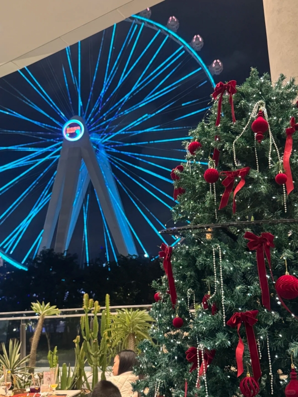 MetPetal by the Ferris Wheel