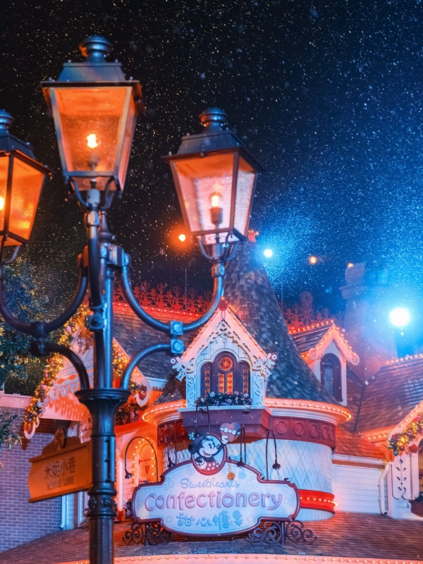 Disneyland in Winter