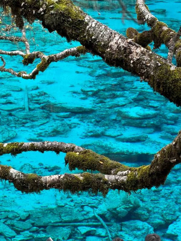 The Crystal-Clear Waters