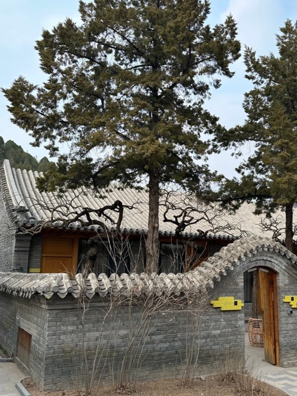 Jinshanling Village Kitchen