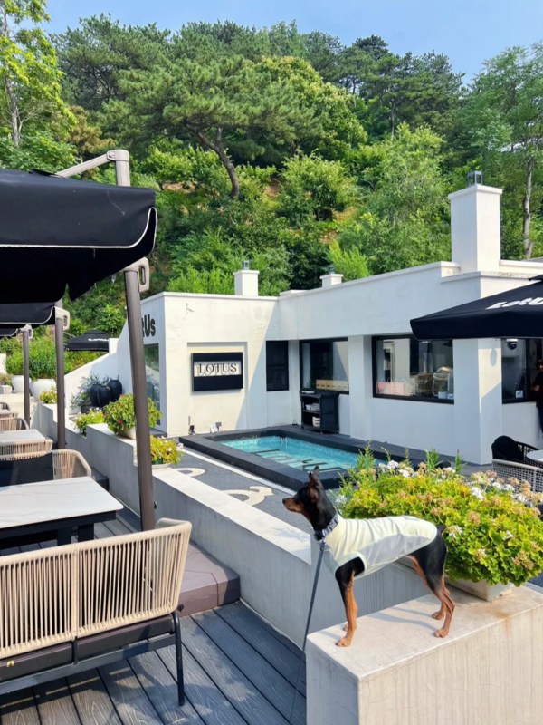 Western Restuarant of Mutianyu