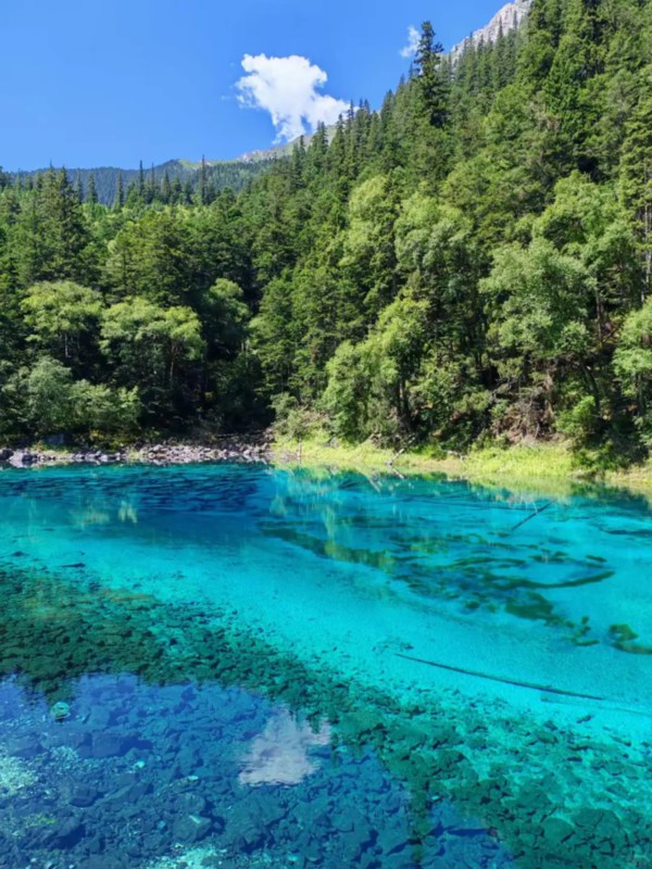 The Ever-changing Color Show