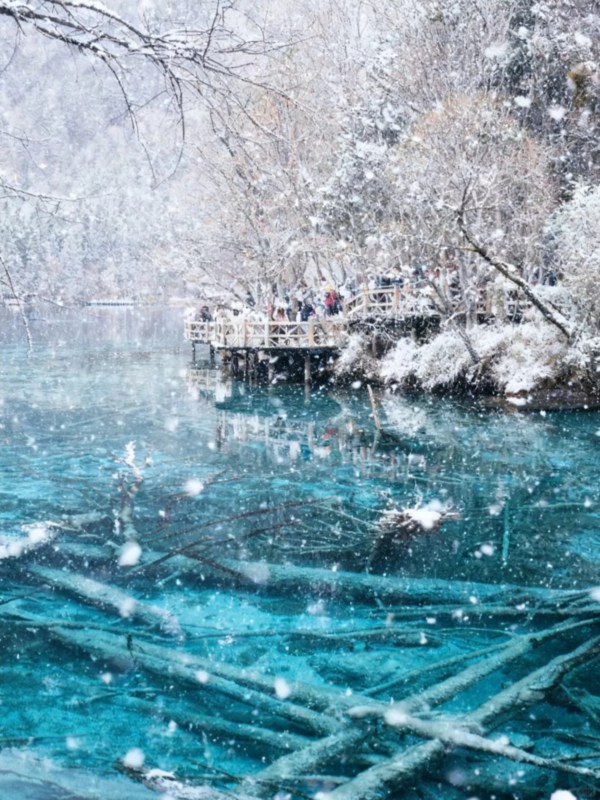 The Winter Miracle