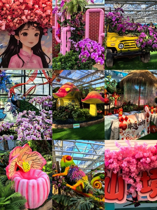 Beijing Orchid Carnival