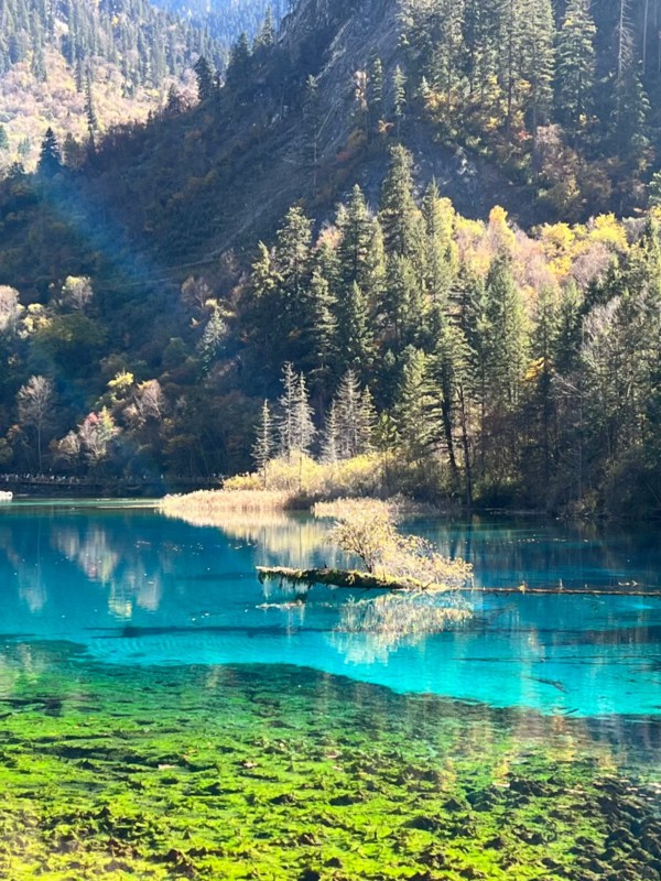 Jiuzhaigou