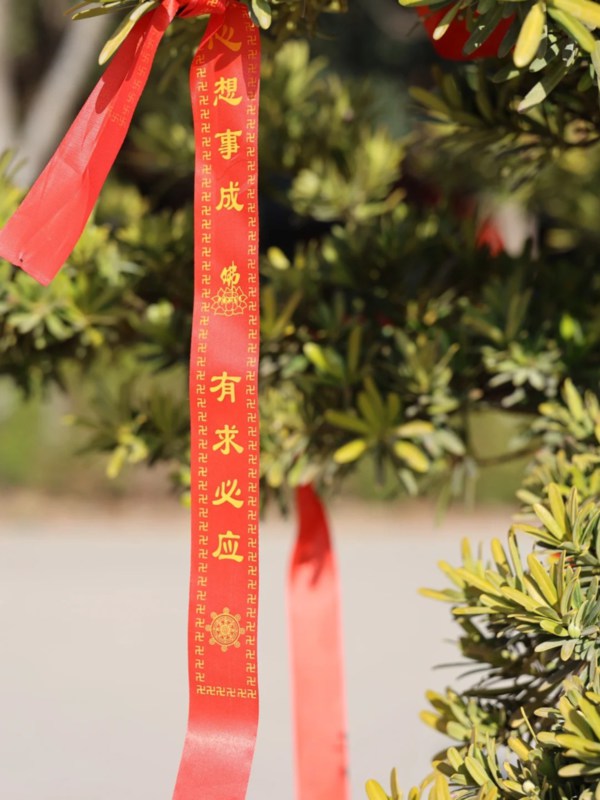 Spring Festival Activities