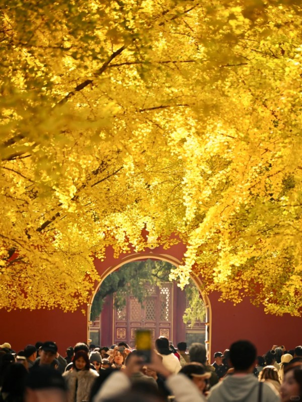 Autumn of Beijing