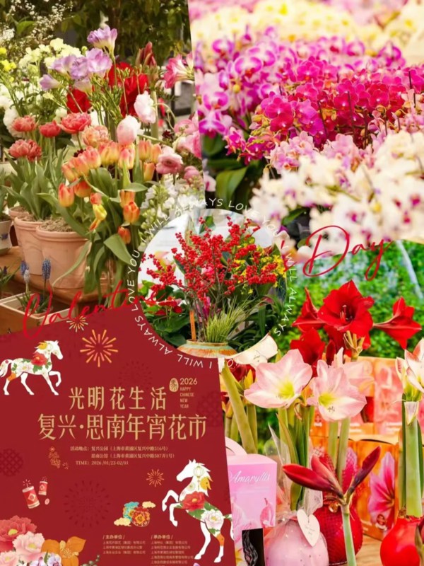 Spring Festival of Sinan Mansion