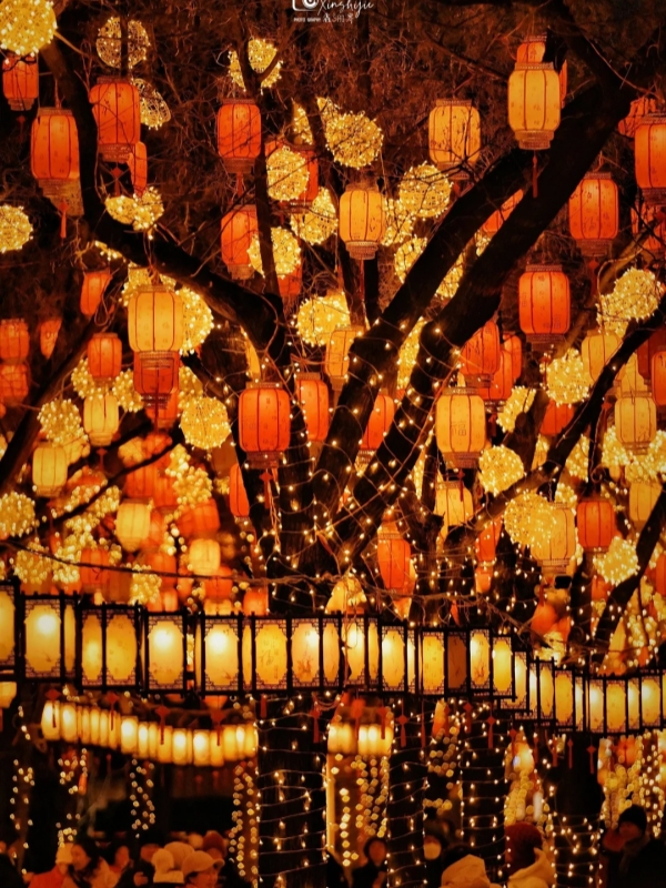 beijing chinese new year events 2026