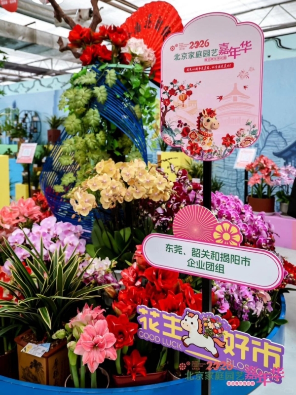 beijing chinese new year events 2026