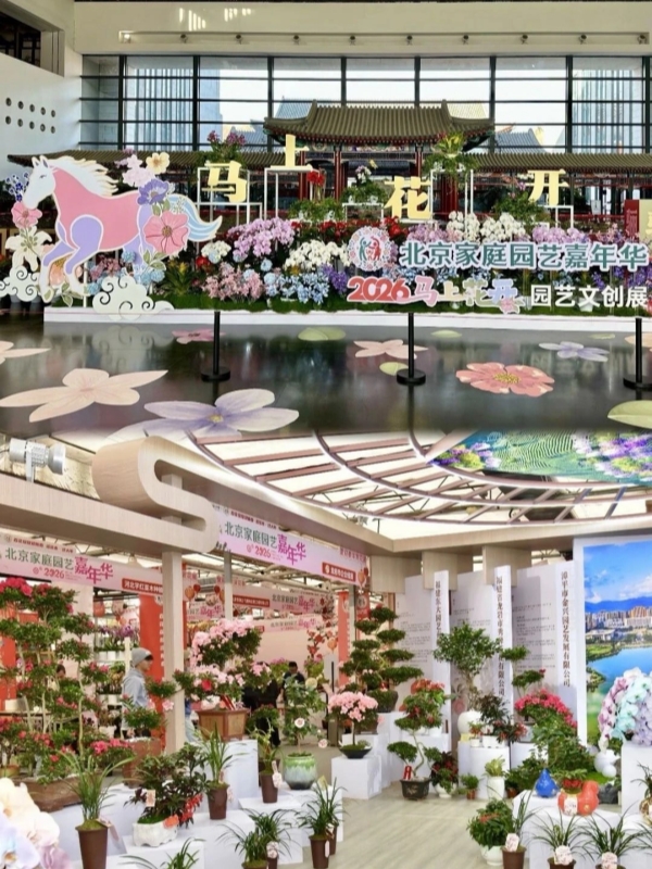 beijing chinese new year events 2026