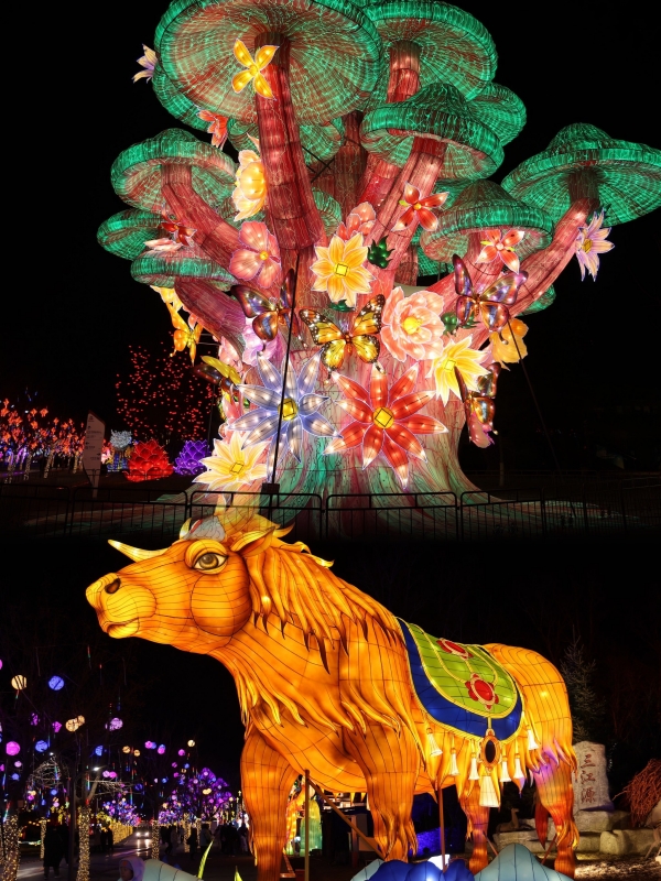 beijing chinese new year events 2026